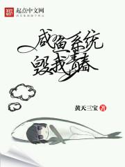 时宁靳宴完整版免费