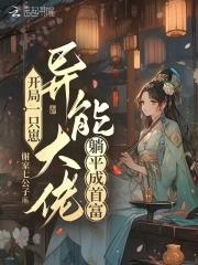 佳人绝世主角小城