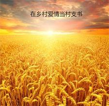 冥王出狱简介免费阅读
