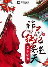 九龙大陆