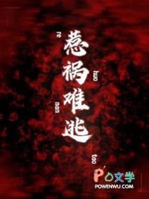 数字红楼梦完整版txt百度