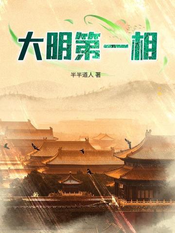 猫猫治愈视频