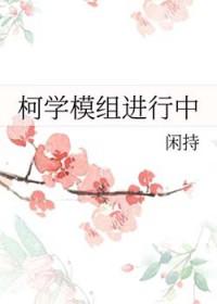 瘸子的剑TXT