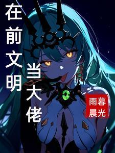 崩坏风之律者是谁