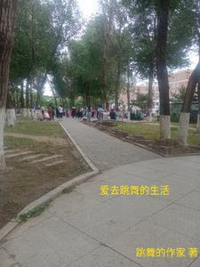 金仙归来骑驴上学短剧免费观看