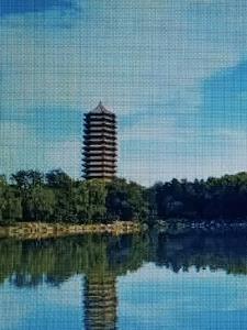 我用大锅整活带飞全仙门 百度