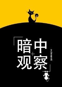 分手回岛，大海成了我的黄金渔场
