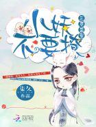 官场之这就是权道宗门