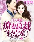 青鹏传：从海东青开始