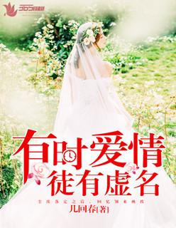 精灵宝可梦之伊布的百变之旅