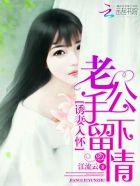 原神：雷电家的小女孩踏遍七国