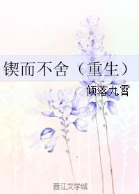 混沌殿全文免费阅读