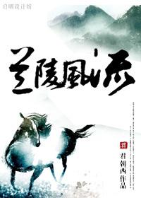 弃少神医做赘婿