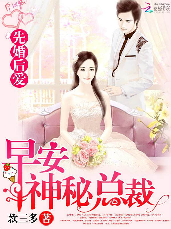 偷风不偷月 车