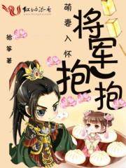完美的她