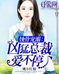 孤雁又南飞
