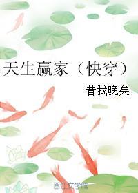 现代都市修真录无弹窗