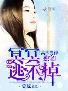 猫律师事务所
