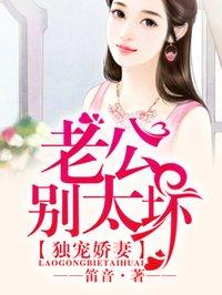 报告三爷夫人又去打架了免费阅读