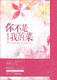 穿越之替身
