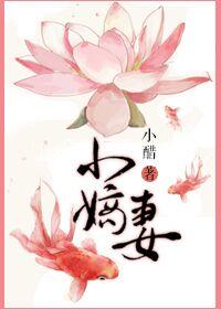 大理寺断案实录
