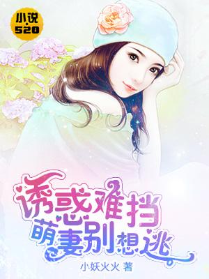 宝可梦钢铁是这样炼成的TXT