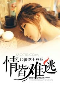 穿越从遇到刘天仙开始
