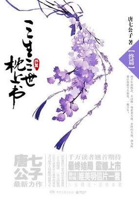穿越到异世界：性转为少女法师