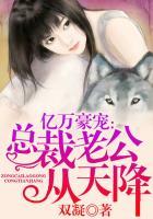 女主网游系列合集