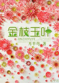 无敌天尊之混沌决