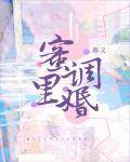 等一场盛夏在线阅读无弹窗