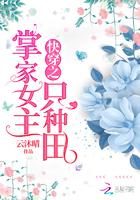 龙玲传奇