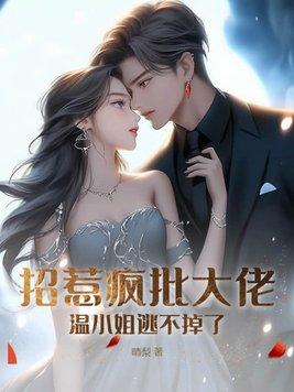 海盗王权