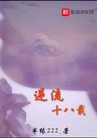 千秋机甲步兵风云录