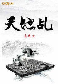 暗夜使者天空套