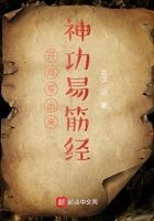 唤妖借处的式神借出后为什么在更换角色时不见了