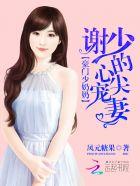 顾陌智脑