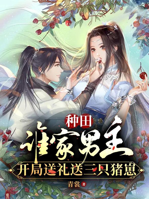 疯狂系统免费阅读