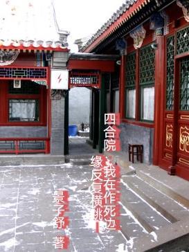 少将请你回家