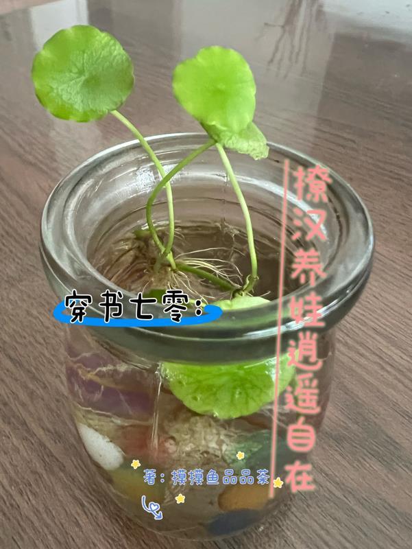 放开她让我来电视剧在线观看