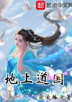 在海贼世界建立势力的