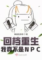 三国：某乃岳飞，开局助丞相镇守