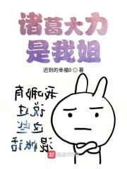 九龙神帝女主角有几个