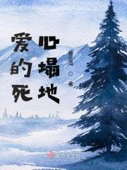 书记打秘密长