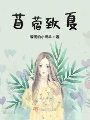 天师下山免费阅读