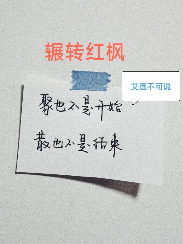 re魔女排名