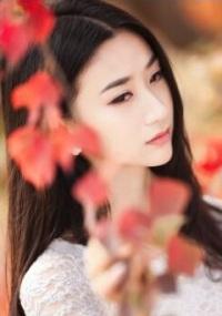 墓图谜踪
