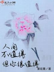 浮华红尘颜如画讲的什么