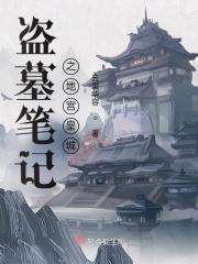 三嫁惹君心大结局